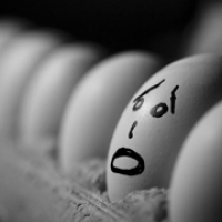 421: Last Man Standing