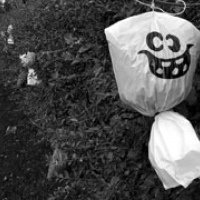 265: Fake Science