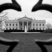 353: The Audacity of Government