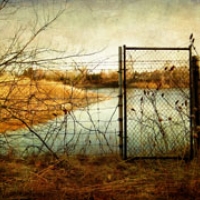 52: Edge of Sanity