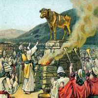 185: Golden Calf