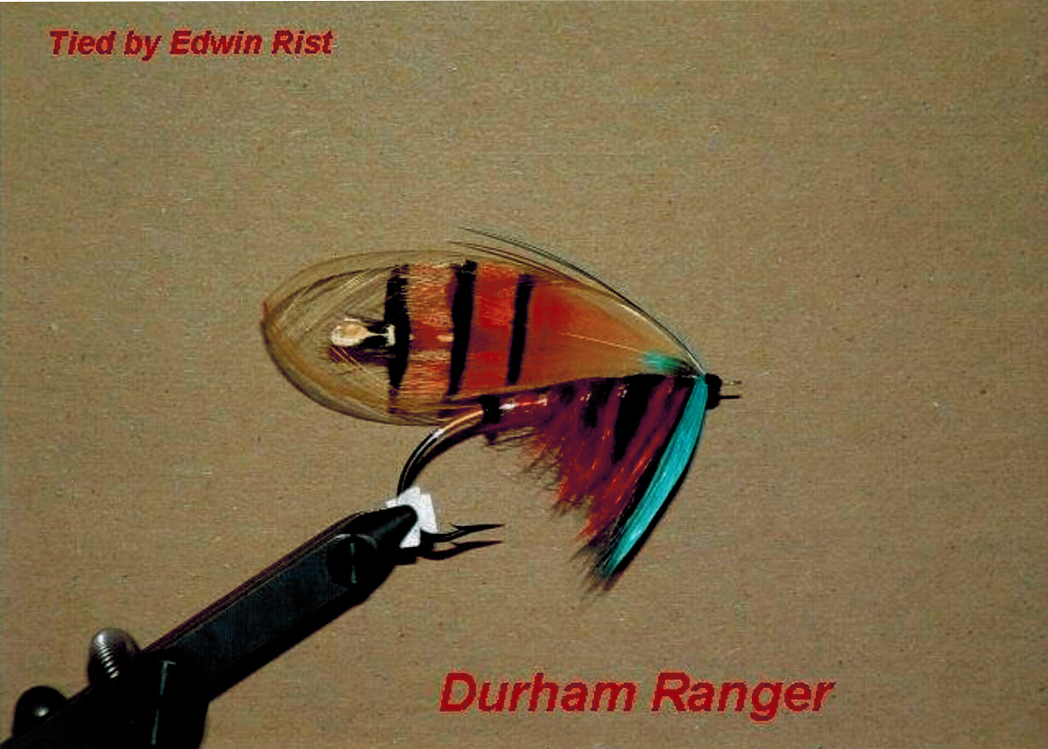 Victorian Salmon Flies and the Birds Used to Make Them - This